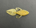 Big Eye Bug (5 Pack)